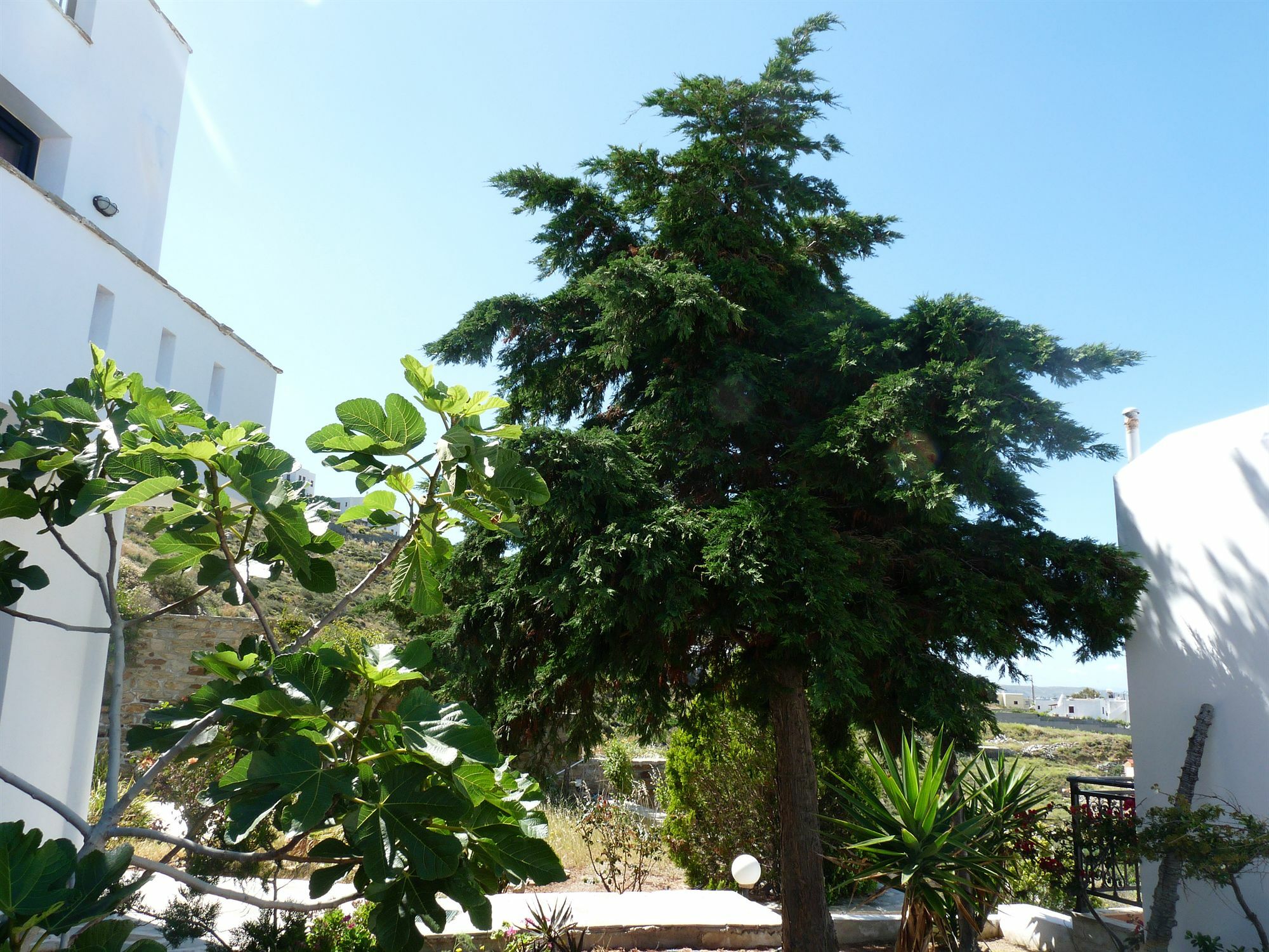 Paradisia Villas Naxos City Exterior foto
